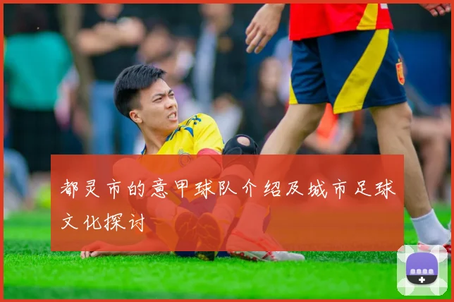 都灵市的意甲球队介绍及城市足球文化探讨