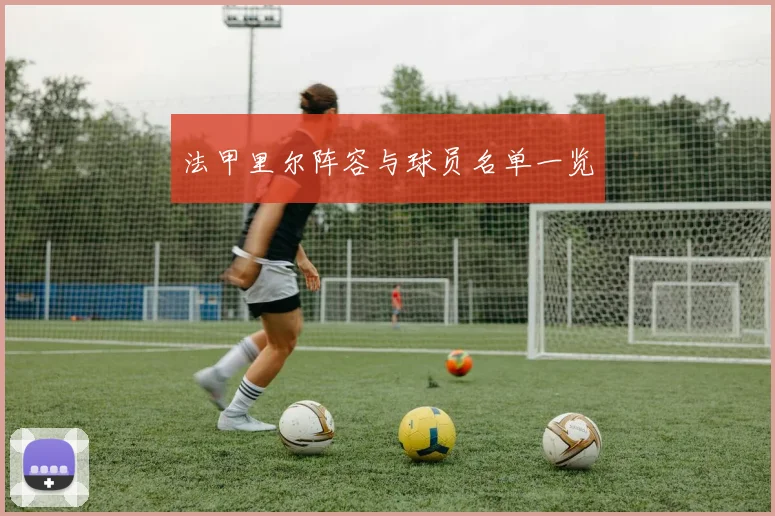 法甲里尔阵容与球员名单一览