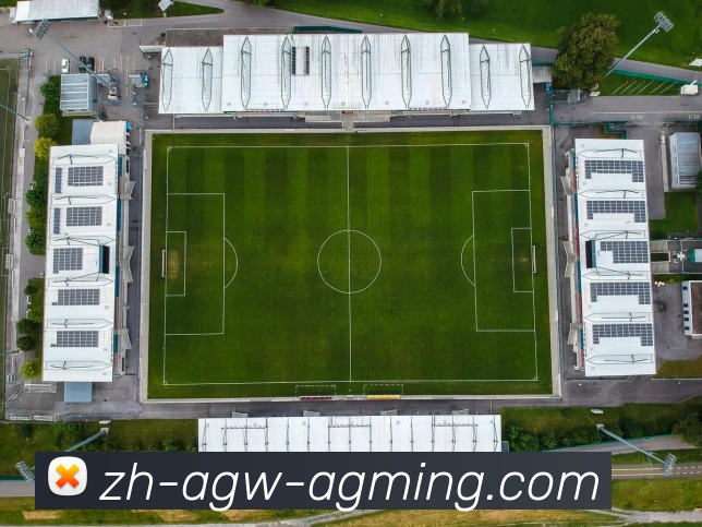 App Interface Preview