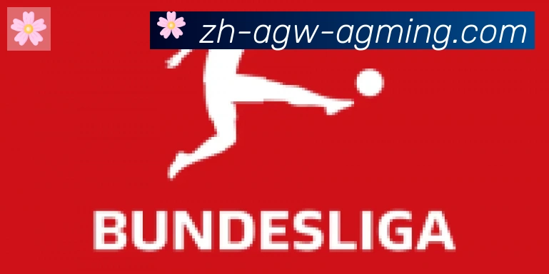 AG娱乐登录合作伙伴