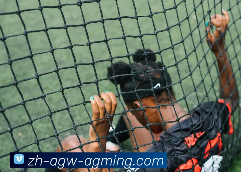 数据防护可视化